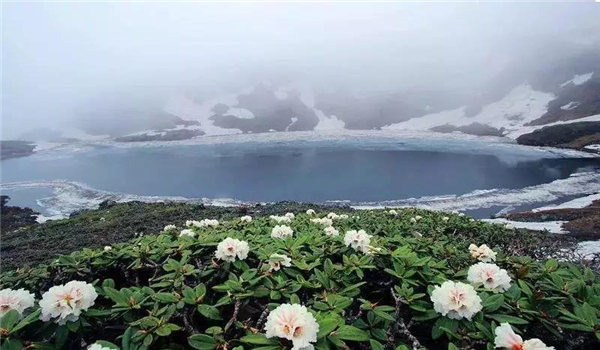 碧羅雪山