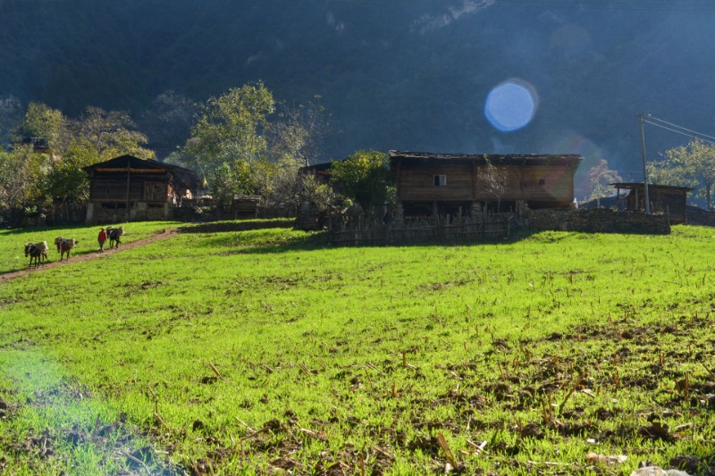 霧里村